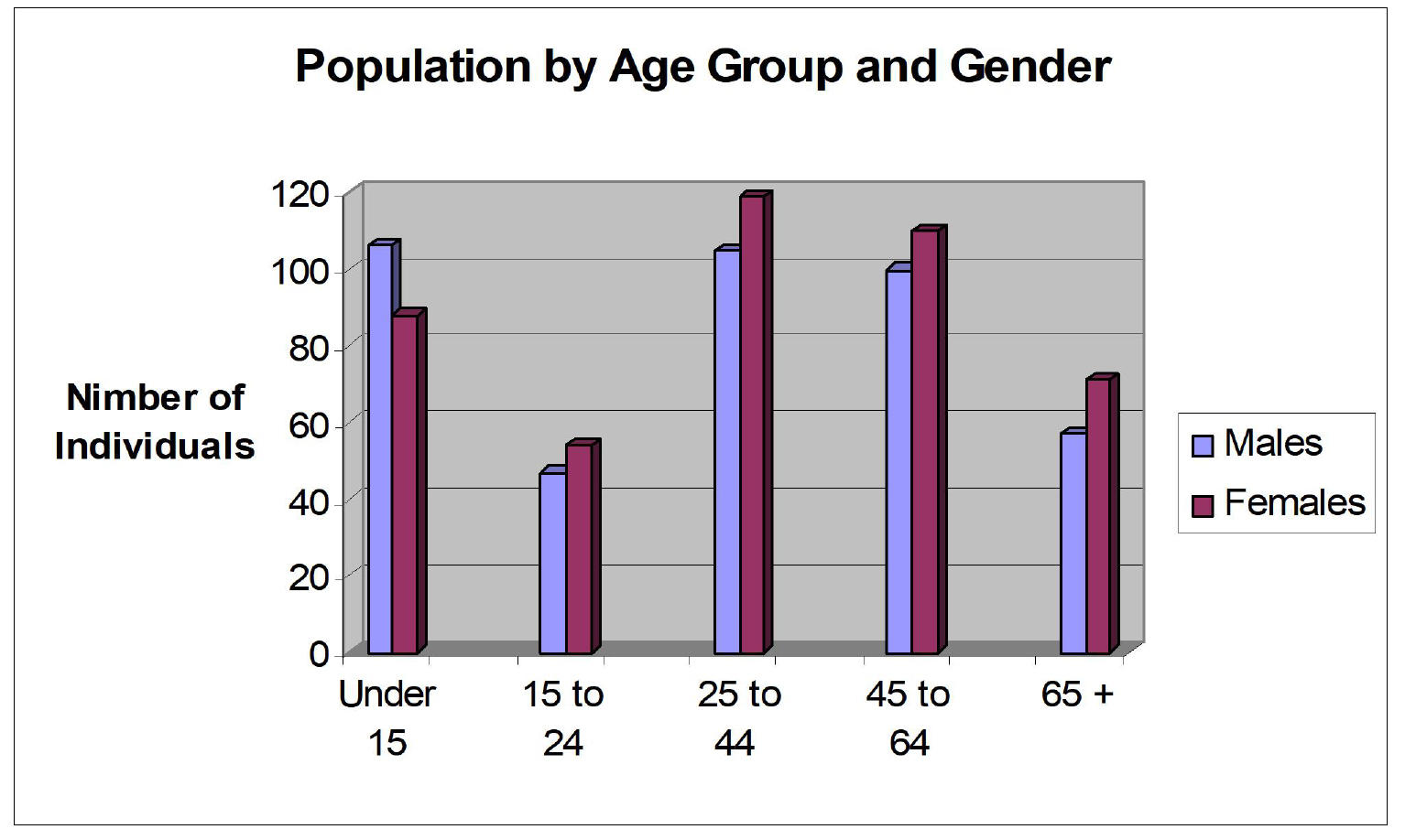 Age and Gender Demographic Chart
